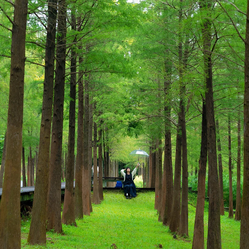 【含多城市往返机票】广东汕头4天3晚纯玩跟团游开元寺天后宫四日