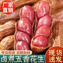 五香卤煮花生500g开袋即食水煮卤水带壳卤味花生米卤汁零食下酒菜