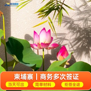 柬埔寨·多次商务签证·西安送签·商务签证代办理 当天可出拒签全退 90一年二年三年多次商务可在当地延期