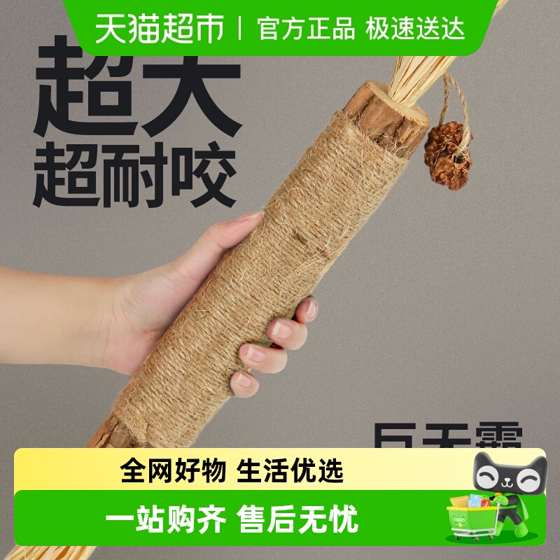柒哦猫咪磨牙棒猫玩具逗猫棒