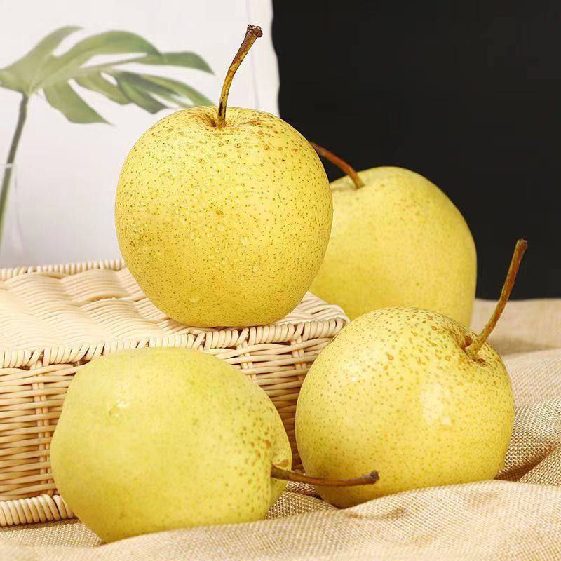 河北正宗雪梨新鲜雪花梨应季水果冰糖雪梨新鲜梨子批发,水产肉类/新鲜蔬果/熟食,梨,淘宝优惠券,粉丝福利购,淘宝优惠卷