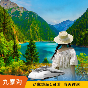 成都出发九寨沟高铁纯玩一日游含门票跟团游可选2-8人小团