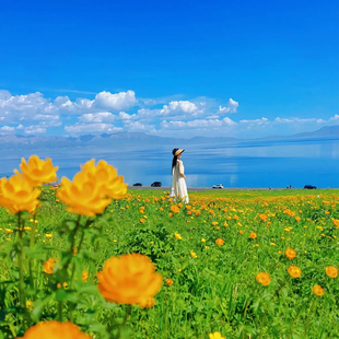 纯玩小团新疆旅游赛里木湖禾木村6天5晚游 林依轮直播间