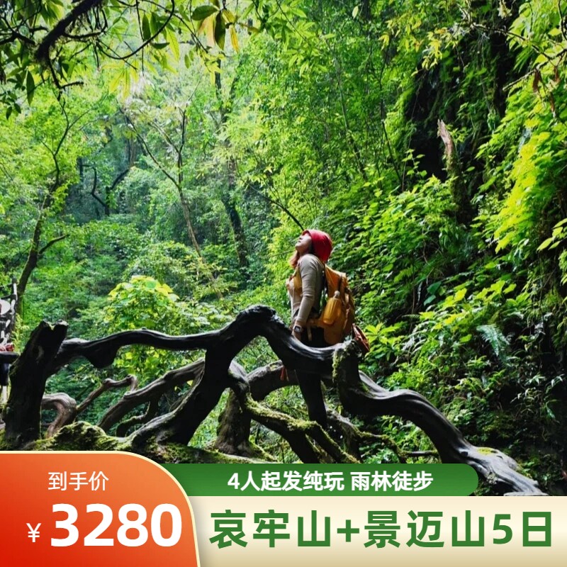 西双版纳普尔 哀牢山&景迈山 雨林徒步5天4晚 8人小团 纯玩无购物