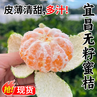宜昌无籽蜜橘4.5斤新鲜蜜桔当季现摘早熟柑橘小青绿皮水果整箱