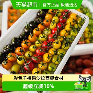 缤纷圣女果3斤混装 搭配彩色千禧果沙拉西餐食材现摘整箱