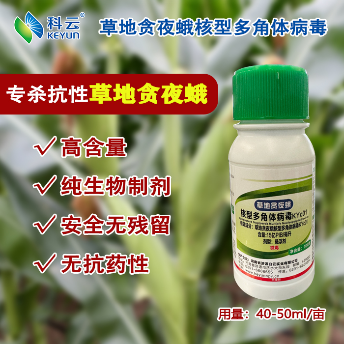 玉米水稻草地贪夜蛾生物杀虫剂