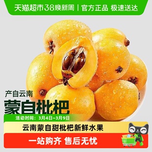 云南蒙自甜枇杷新鲜水果当季大果高山现摘整箱琵琶水果