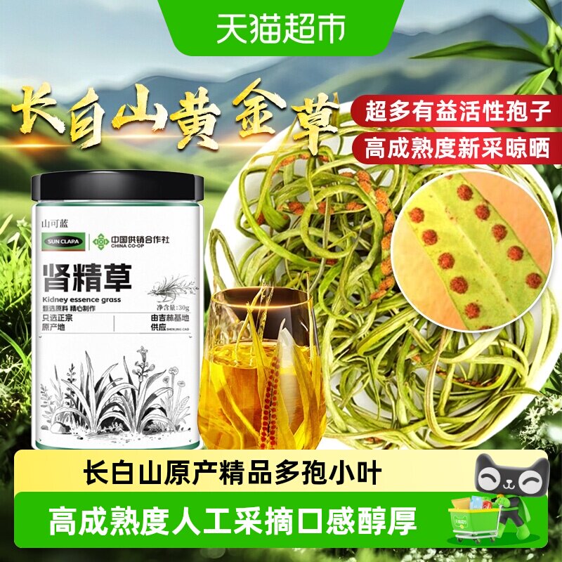 长白山肾精草叶小孢多化石黄金草男士滋补养生泡茶嗷嗷叫口感醇厚 - 实物图