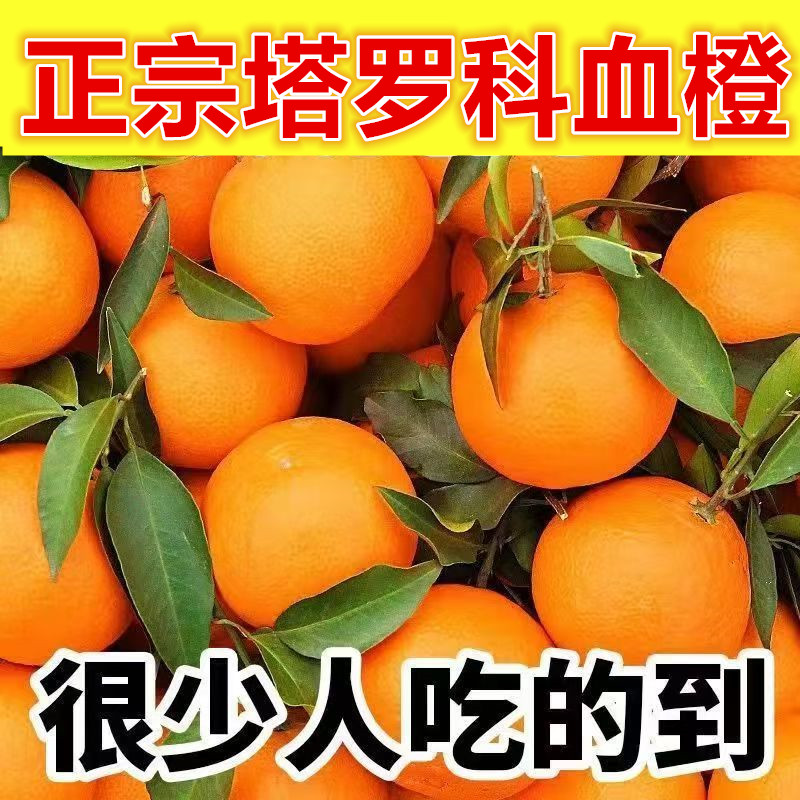 Ĵ޿Ѫ 516.42Ԫ