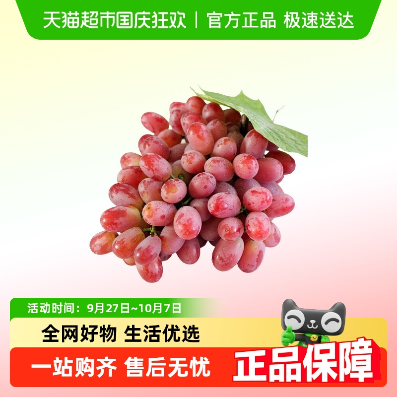 攀果无籽红提新鲜水果