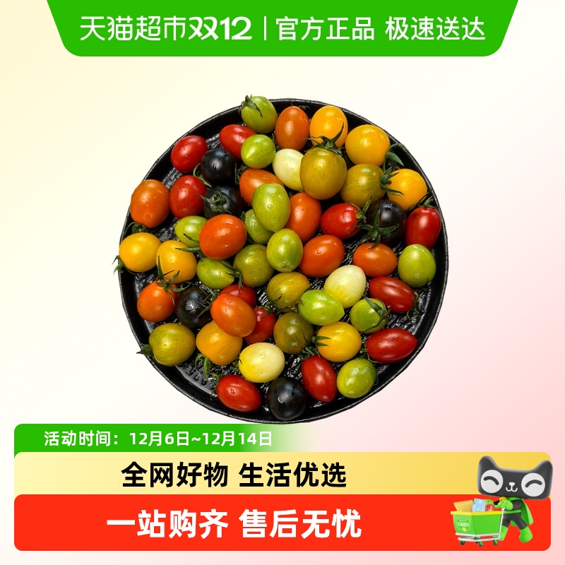 七彩混合小番茄新鲜现摘现发