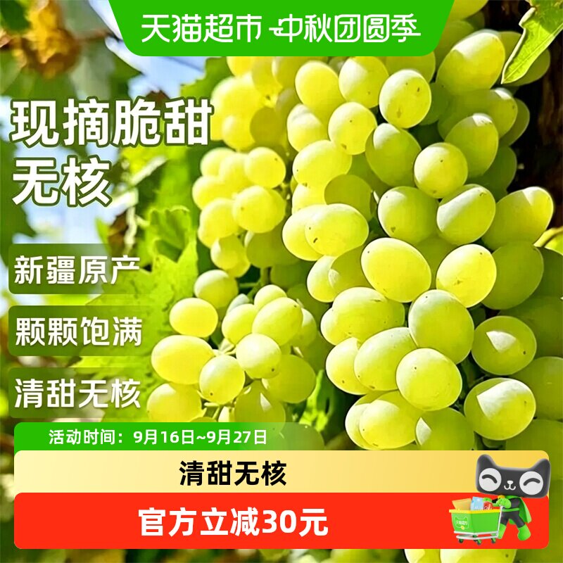寻天果蔬新疆无核小白蜂葡萄当季