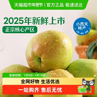 【2025年新鲜上市】正宗隰县玉露香梨小西天特产新鲜水果中秋送礼