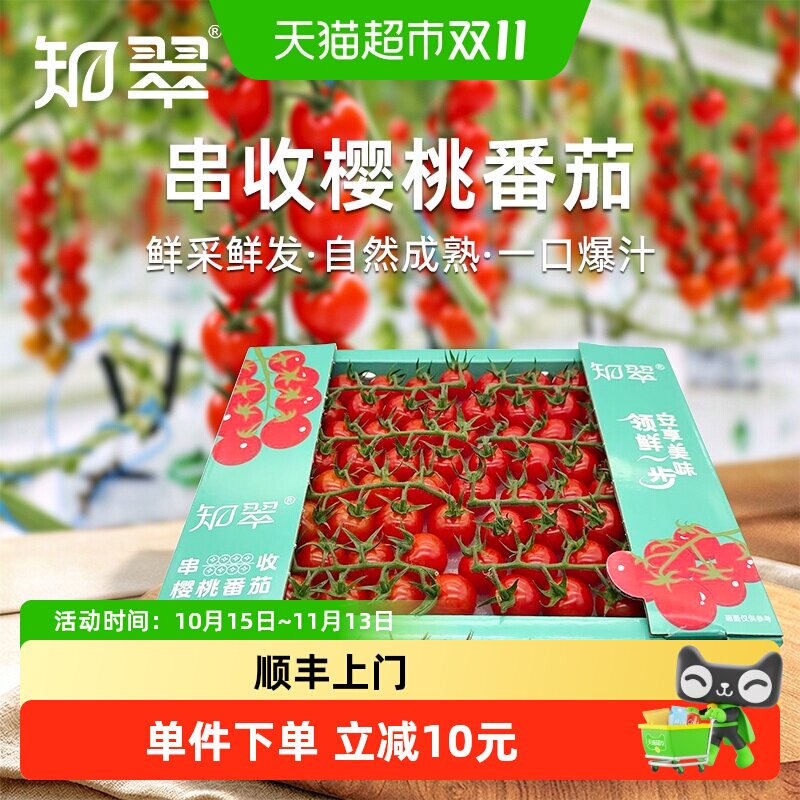 知翠红串收樱桃小番茄1kg即食自然成熟脆甜熊蜂授粉纯净水源盒装