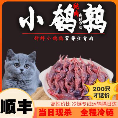 小鹌鹑肉冷冻乳嫩幼仔猫猫零食现杀肉类非冻干宠物零食生骨肉