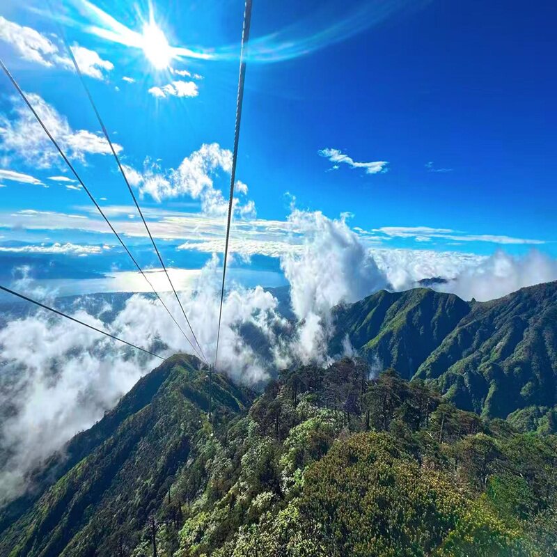 [苍山洗马潭索道-苍山洗马潭索道半程]门票