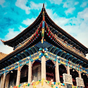 【生命树》精选路线】可可西里+昆仑山口+玉珠峰一日游