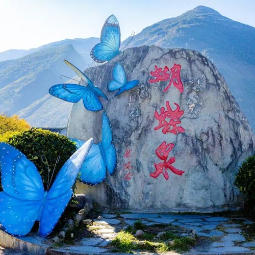 大理蝴蝶泉菌香森林采鲜菌体验+本地向导+菌子科普含蝴蝶泉门票