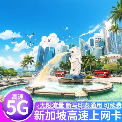 新加坡上网卡