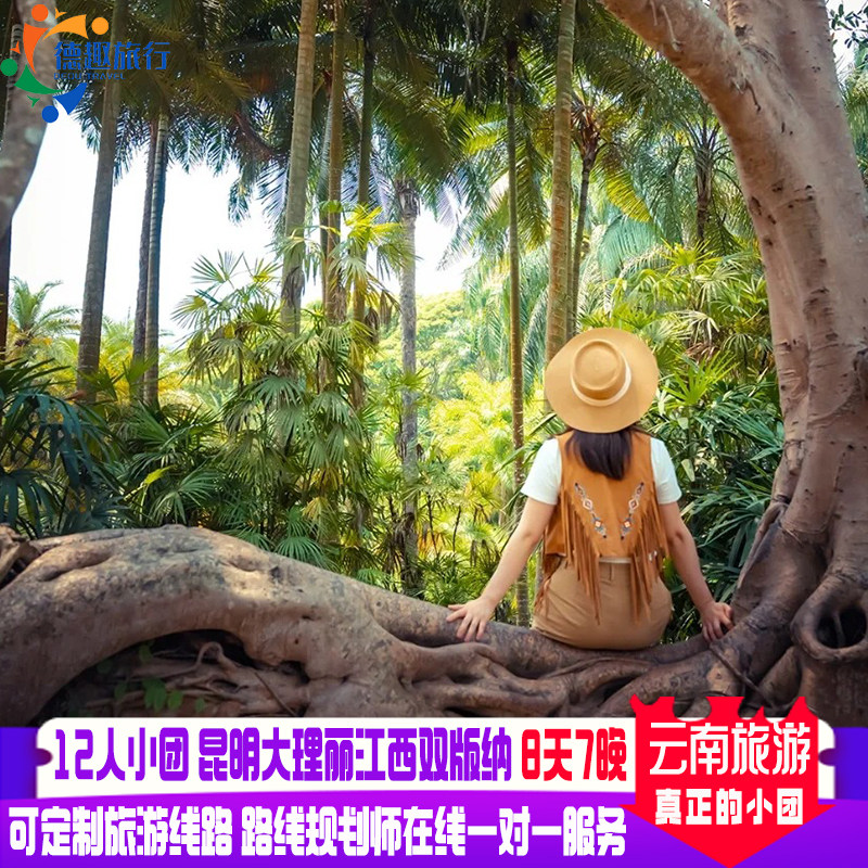 真正的12人小团海景酒店夕阳红爸妈游云南旅游昆大丽版8天7晚旅拍