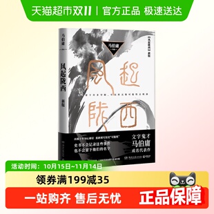 风起陇西 白宇主演电视剧原著 陈坤