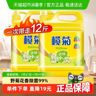 2瓶家用实惠装 榄菊野菊花洗洁精除菌3kg 大桶商用餐饮厨房洗碗液