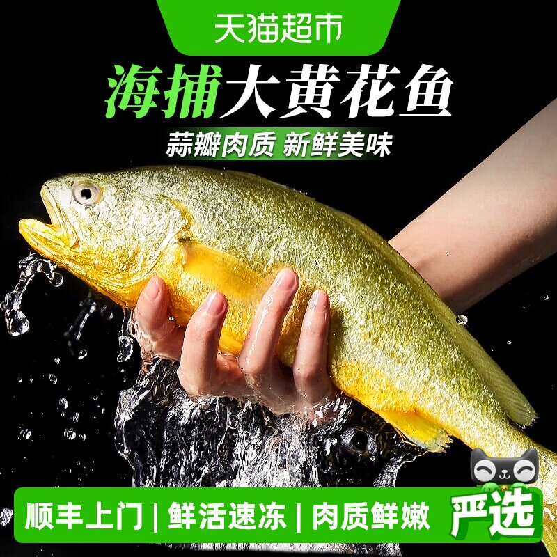 深海黄花鱼新鲜急冻图片