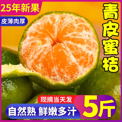正宗云南青皮蜜桔新鲜水果5斤大果蜜橘柑橘酸甜桔子当季整箱包邮
