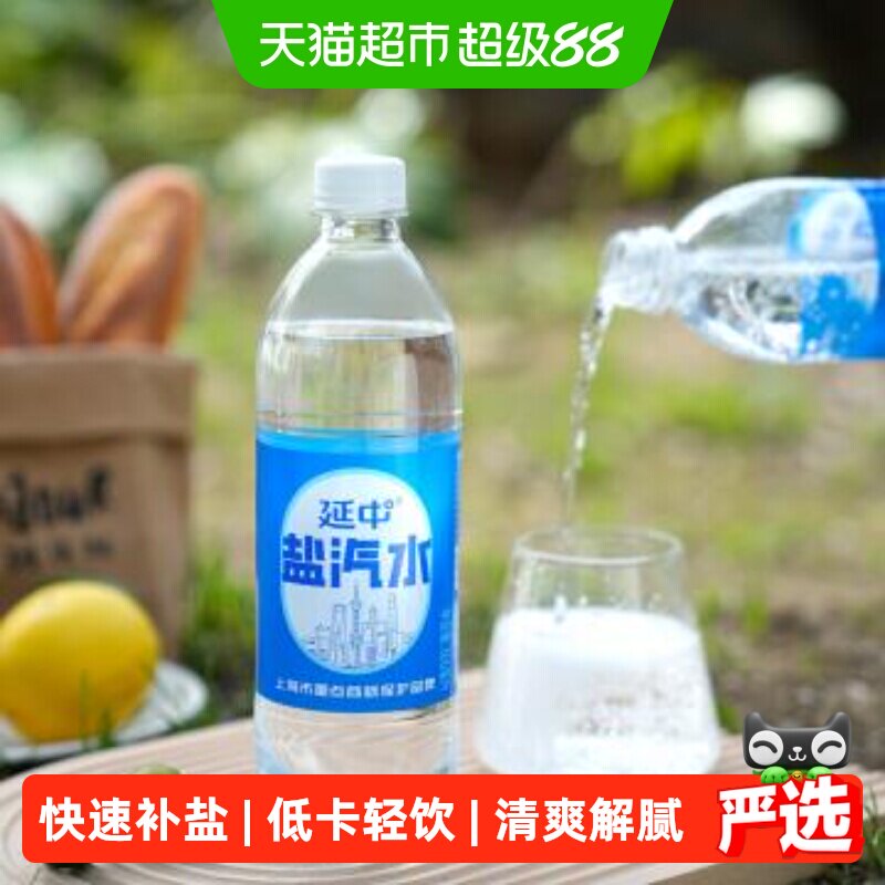 延中老字号盐汽水祛暑600ml*20瓶