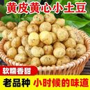 2024新土豆黄皮小土豆新鲜现挖粉面薄皮土豆农家直供新鲜蔬菜