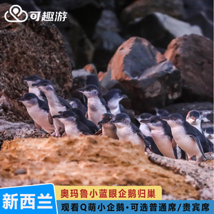 新西兰奥玛鲁小蓝企鹅栖息地归巢夜间门票 大门票 奥玛鲁蓝企鹅栖息地