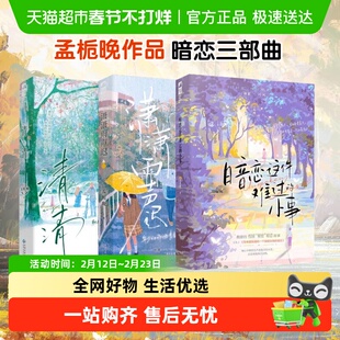 清清+潇潇雨声迟+暗恋这件难过的小事 孟栀晚 青春校园言情小说