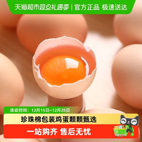 我老家新鲜谷物鸡蛋山林散养