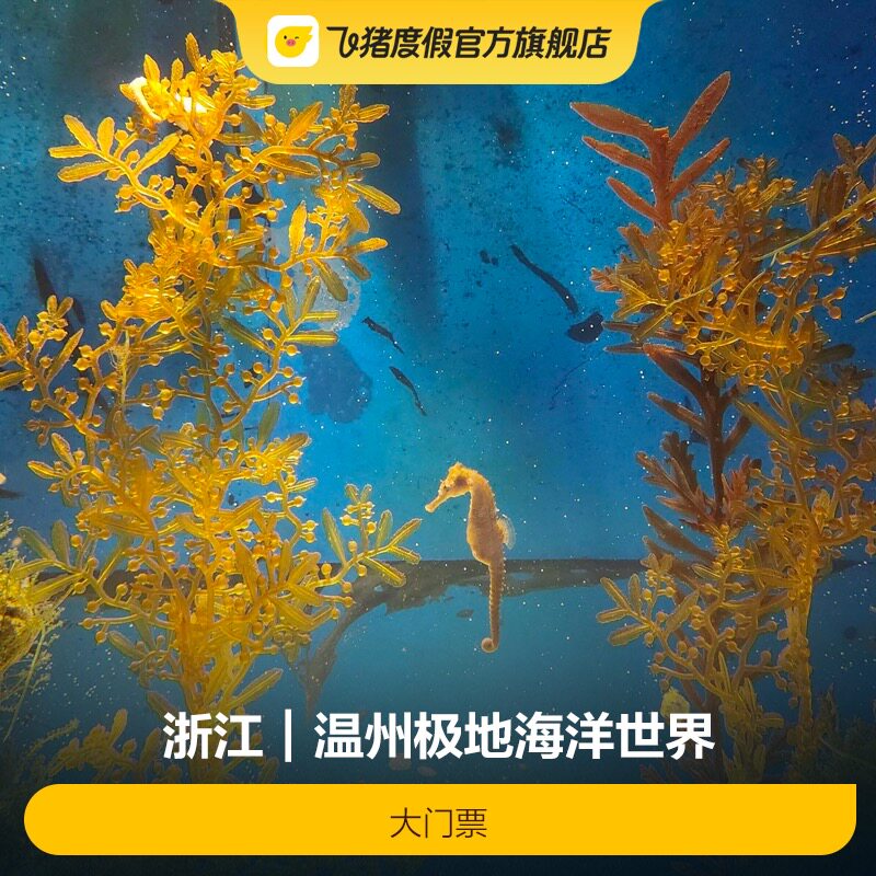 [温州极地海洋世界-大门票]温州极地海洋世界