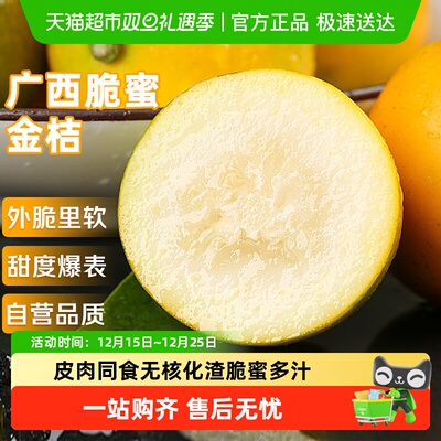 京运达广西脆蜜金桔小金柑