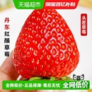 包邮 丹东99草莓红颜奶油草莓九九当季 新鲜水果整箱京东空运
