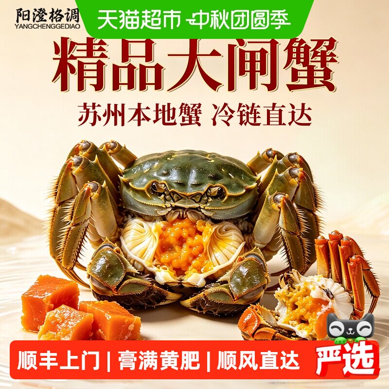 阳澄格调大闸蟹鲜活螃蟹