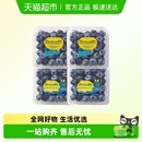 下拉详情领优惠 Driscoll 新鲜水果花香 怡颗莓秘鲁蓝莓当季