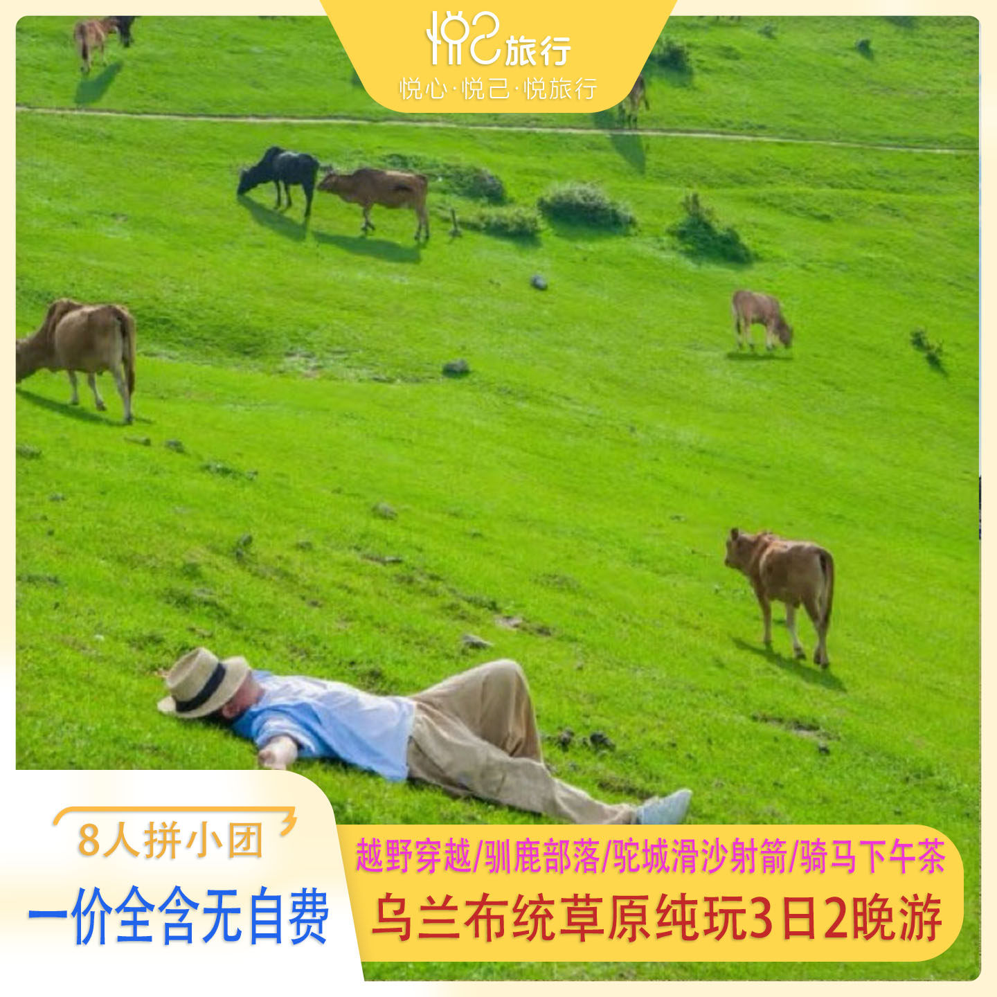 8人拼小团一价全含无自费·草原预售丨乌兰布统塞罕坝围场3日2晚