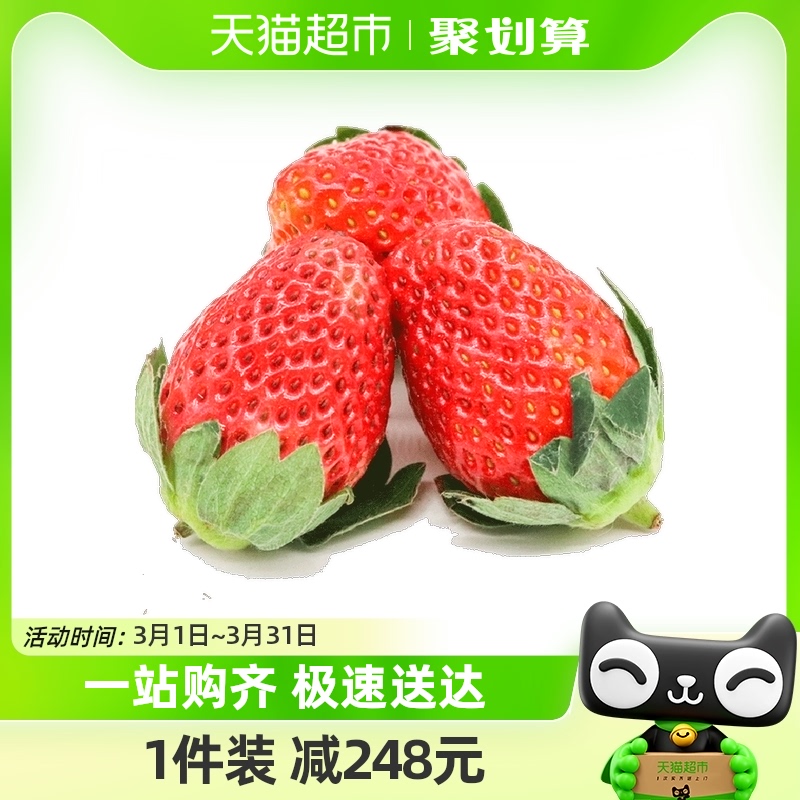 others 其他 辽宁丹东红颜草莓1.8斤