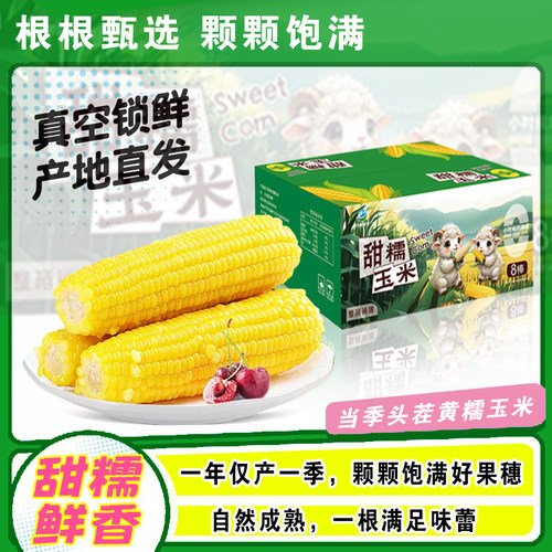 东北黄糯玉米真空装 200gx3/8/16个
