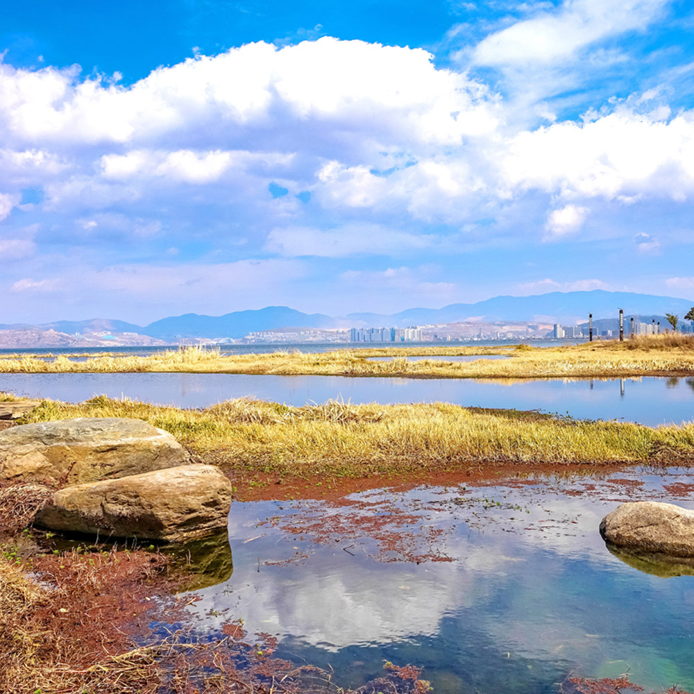 【独立小包团】云南旅游大理丽江5天4晚纯玩深度游玉龙雪山大索道