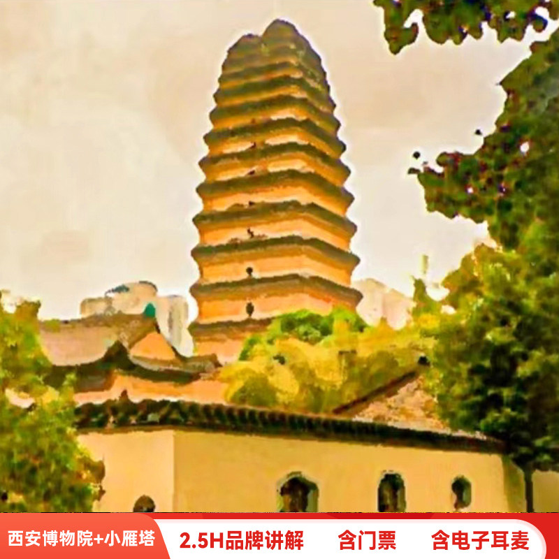 西安博物院+小雁塔【含门票双景区2.5小时讲解/可选8/15/25人团】