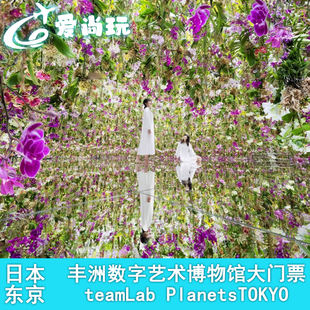 Planets 日本丰洲数字艺术博物馆电子门票 teamLab 大门票 门票 TOKYO