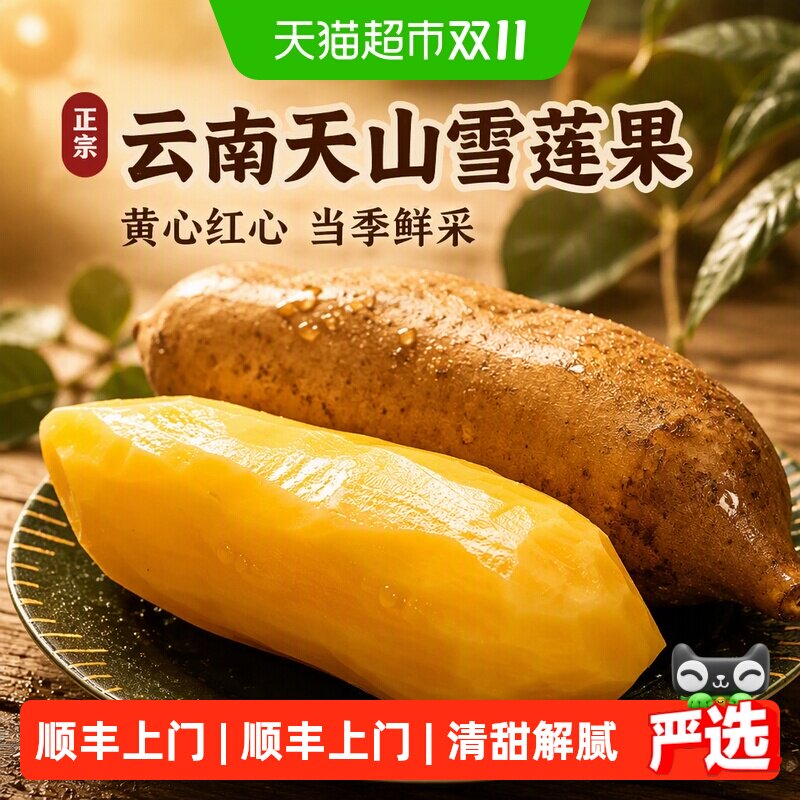 云南天山雪莲果黄心红心雪连果当季新鲜水果【详情领优惠】