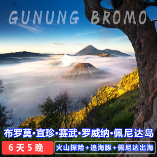 印尼巴厘岛6天5晚布罗莫宜珍火山团赛武瀑布佩尼达罗威纳包车游