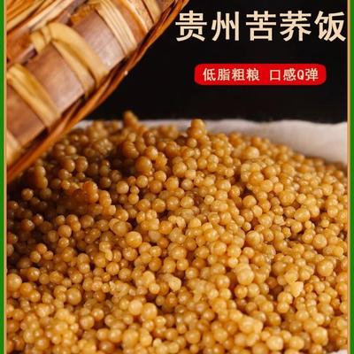 威宁苦荞饭正宗新米荞麦食用荞子麦饭毕节贵州威宁特产苦荞饭正宗