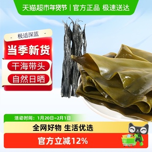 极适深蓝干海带头500g厚片海带片海带根昆布干货新鲜日晒凉拌煲汤