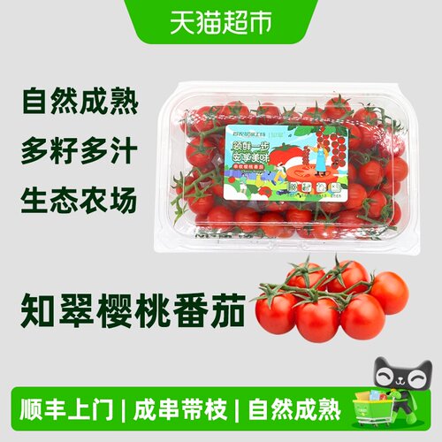 知翠樱桃小番茄自然熟饱满多汁